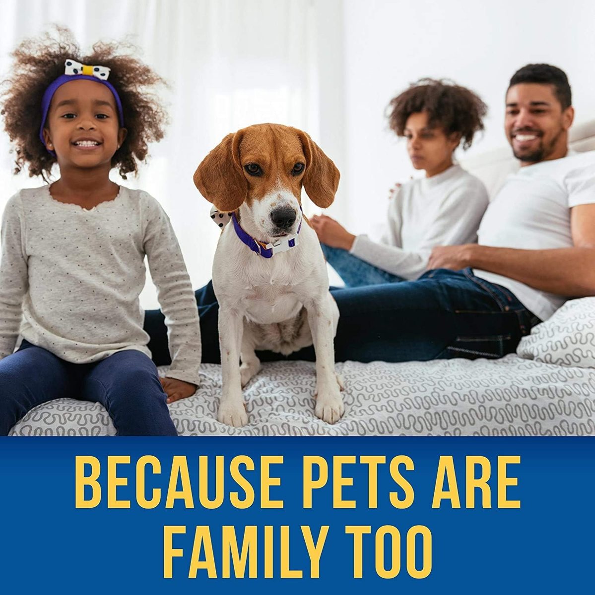 Shed-X — Because pets are family too