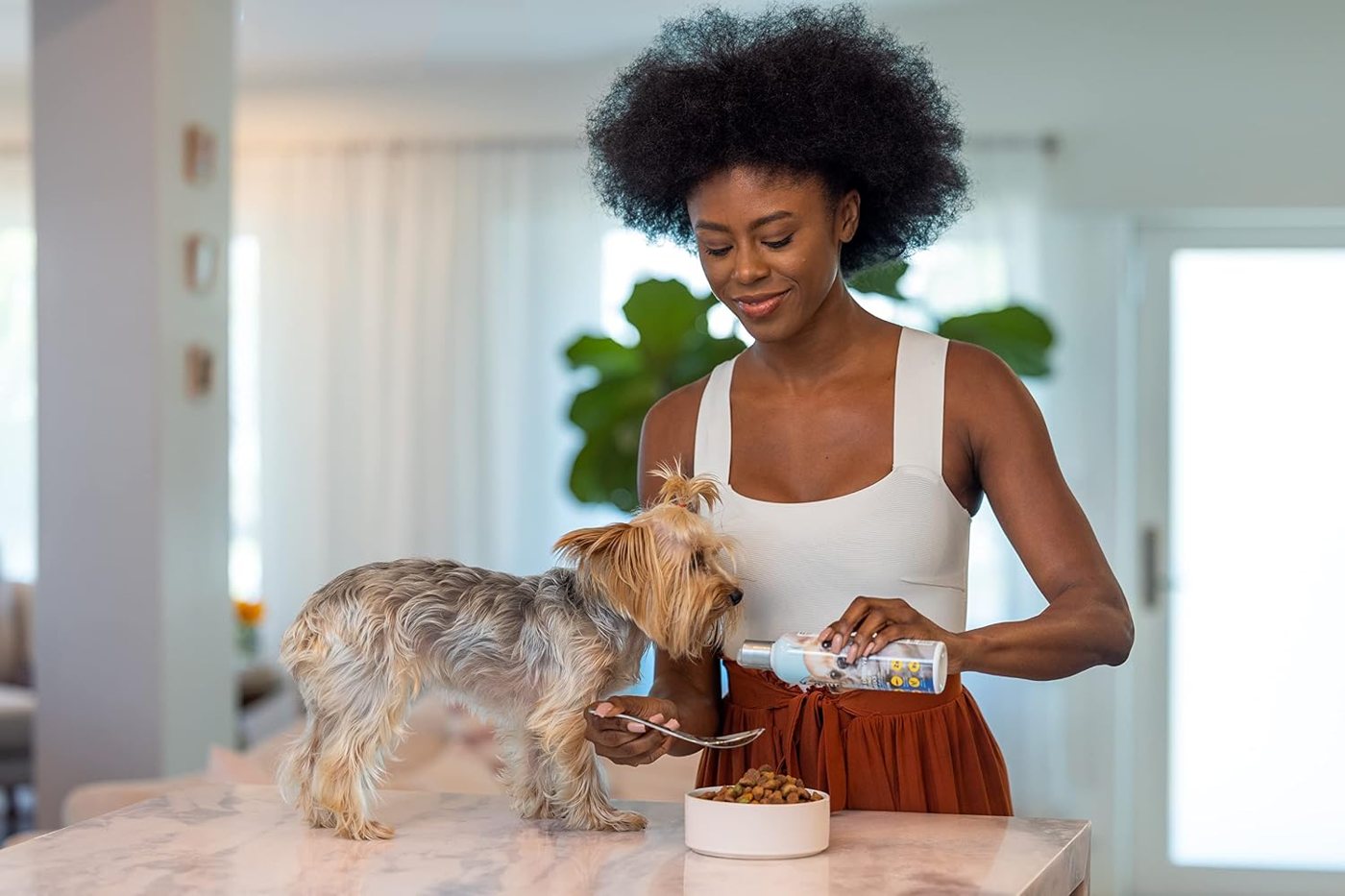 An owner pouring a spoon of Shed-X over her Yorkie's food