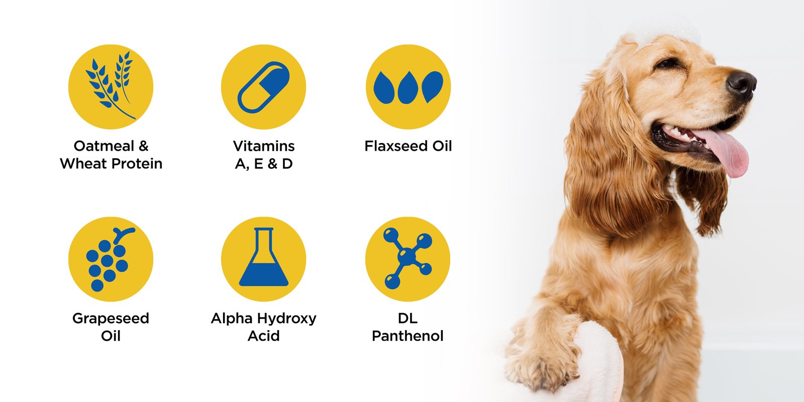 Shed-X in the lather: Oatmeal & wheat protein, Vitamins A, D & E, Flaxseed oil, Grapeseed oil, Alpha hydroxy acid, DL-panthenol